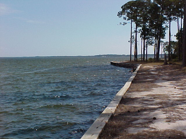G-31 Driftwood Road Santa Rosa Beach, FL 32459 - Photo 1 of 1 a view of a dry yard with wooden fence