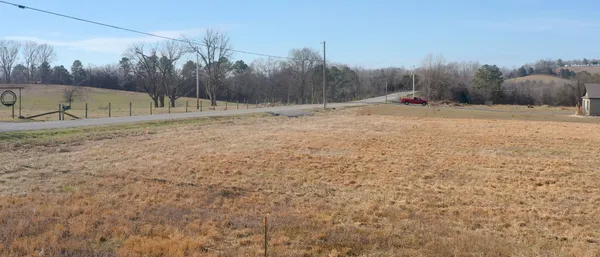 a view of a dry yard with trees
