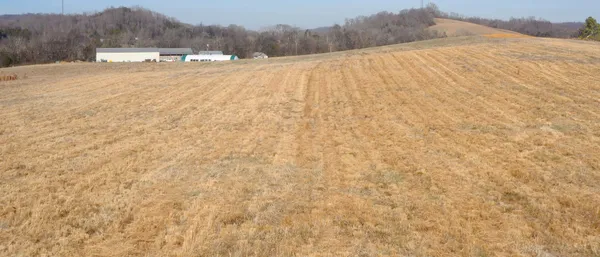 a view of a dry yard with a barn