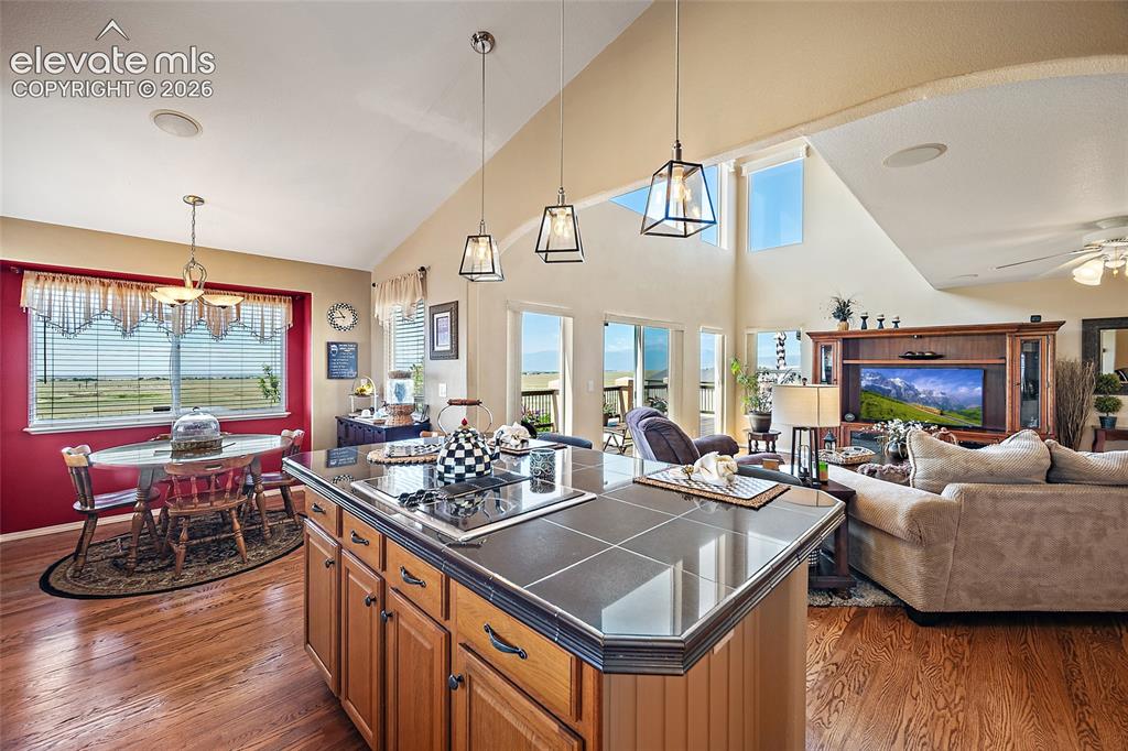 9582 Rockingham Drive Peyton, CO 80831 - Photo 12 of 47