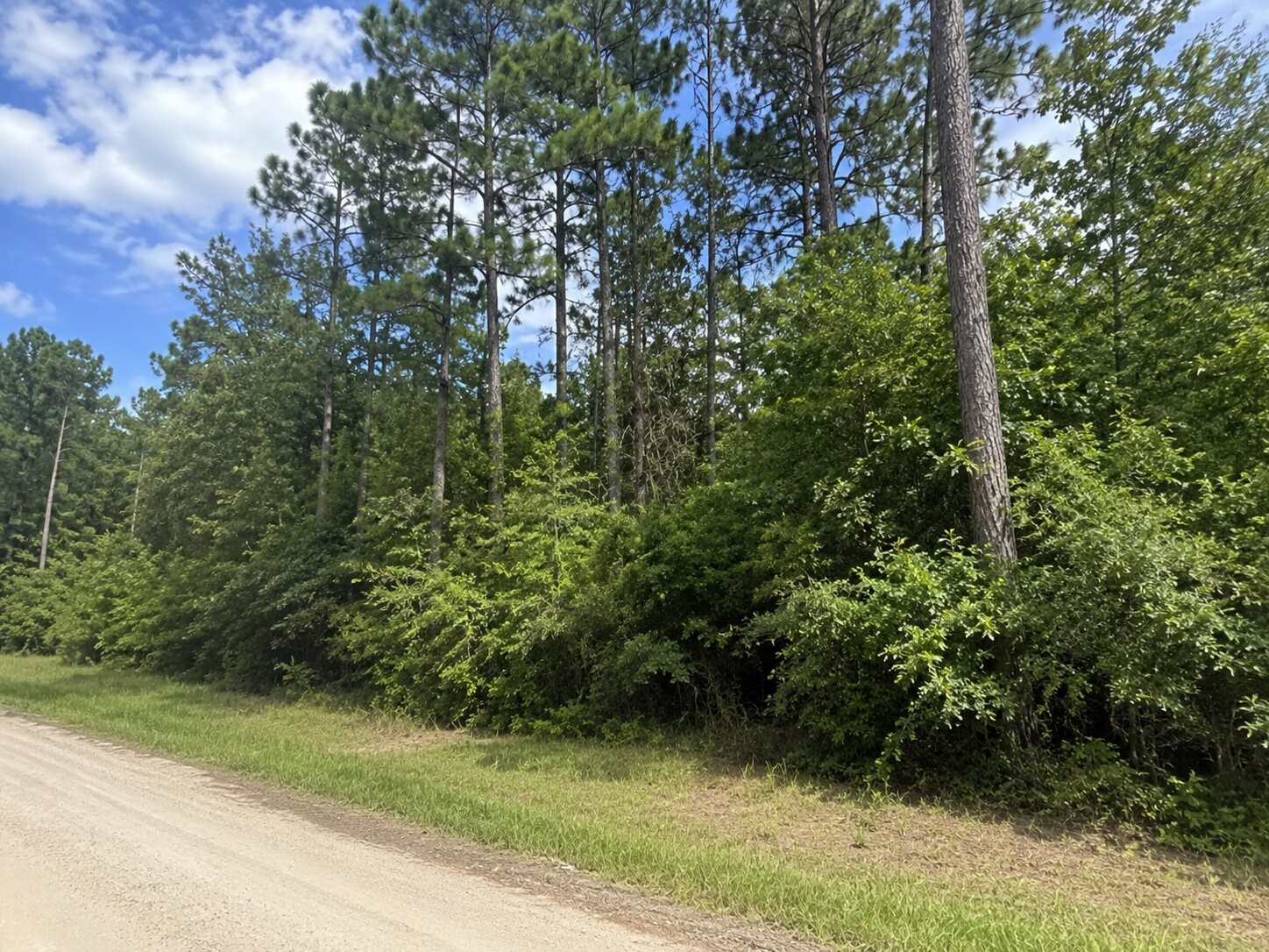 0 12th Street Onalaska, TX 77360 - Photo 4 of 4