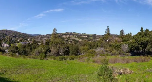 a view of a lush green field with mountains in the background