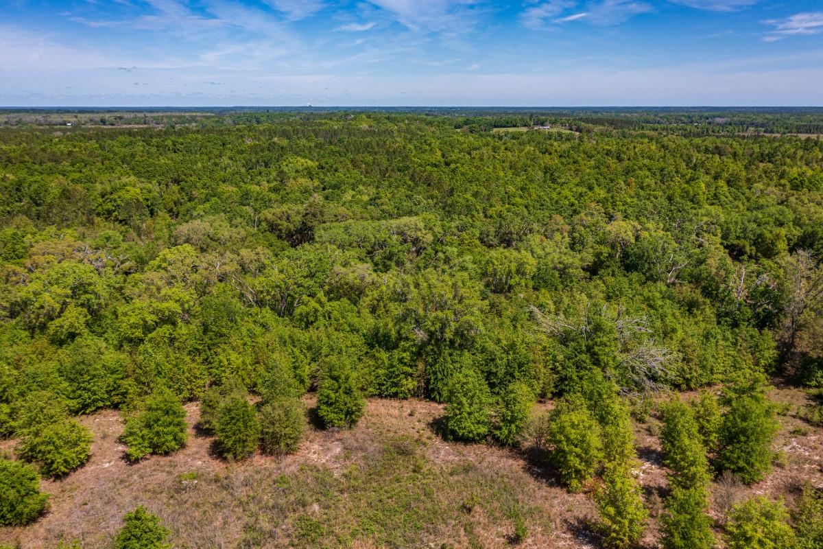 0 Northeast Cedar Trl