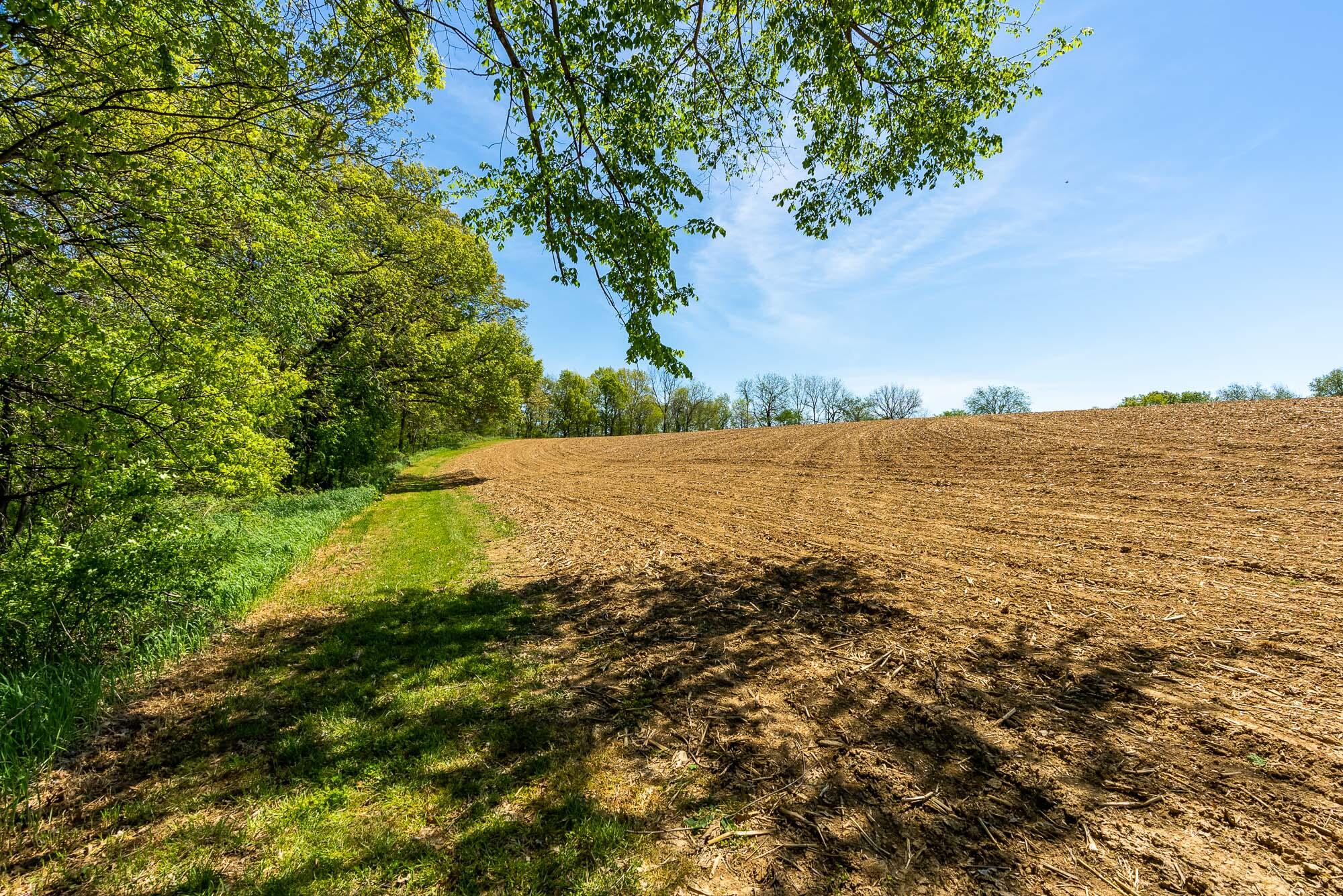 15999 Biba Road Muscoda, WI 53573 - Photo 101 of 103 Grant-County-WI-160-Acres-Land-For-Sale-