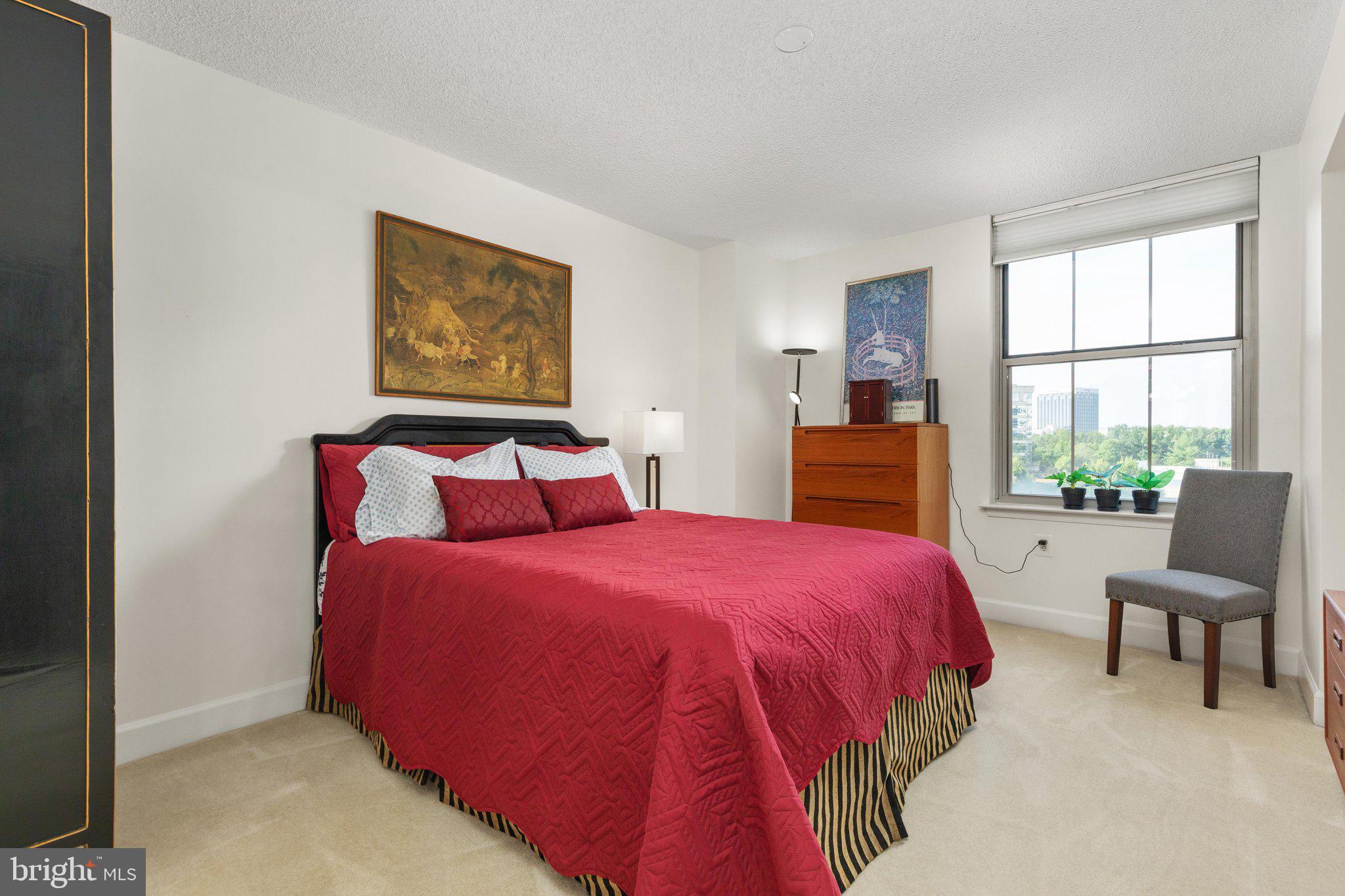 11800 Sunset Hills Road, Unit 815 Reston, VA 20190 - Photo 14 of 61 Primary Suite with Double Window facing South