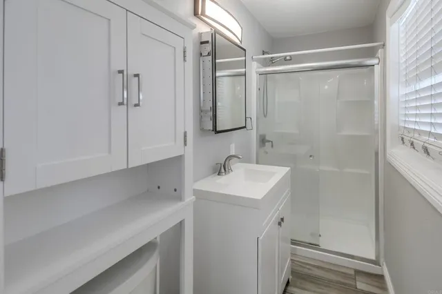 a bathroom with a sink a shower and a mirror