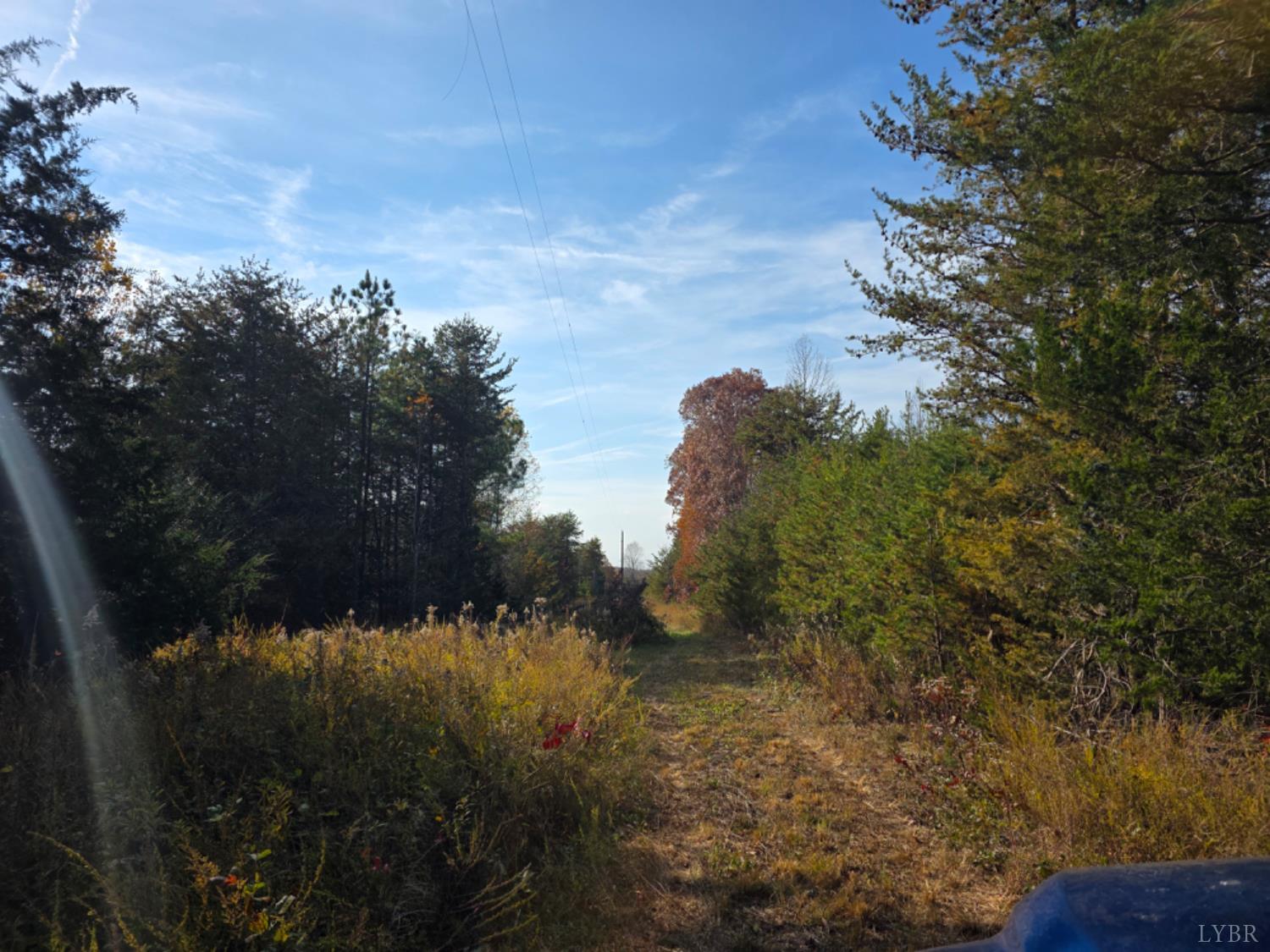0 Wildway Road Appomattox, VA 24522 - Photo 2 of 8 a view of a lake in middle of forest