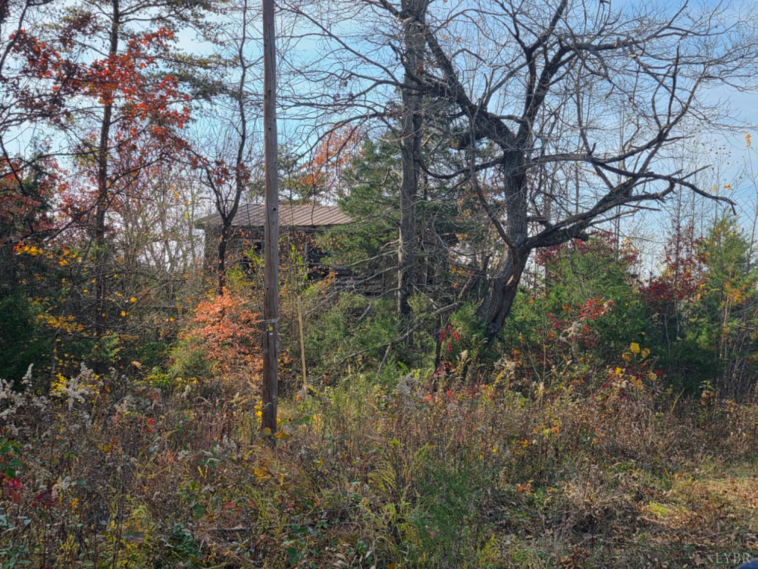 0 Wildway Road Appomattox, VA 24522 - Photo 4 of 8 a view of a tree in a yard