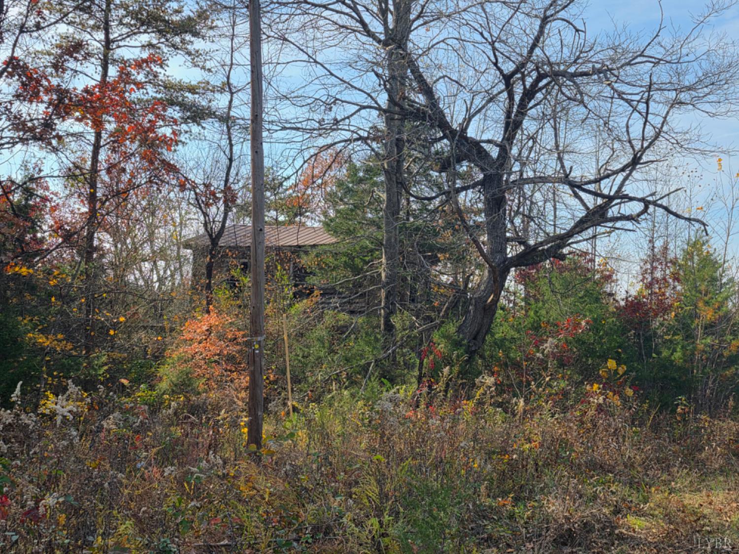 0 Wildway Road Appomattox, VA 24522 - Photo 5 of 8 a backyard of a house with lots of green space