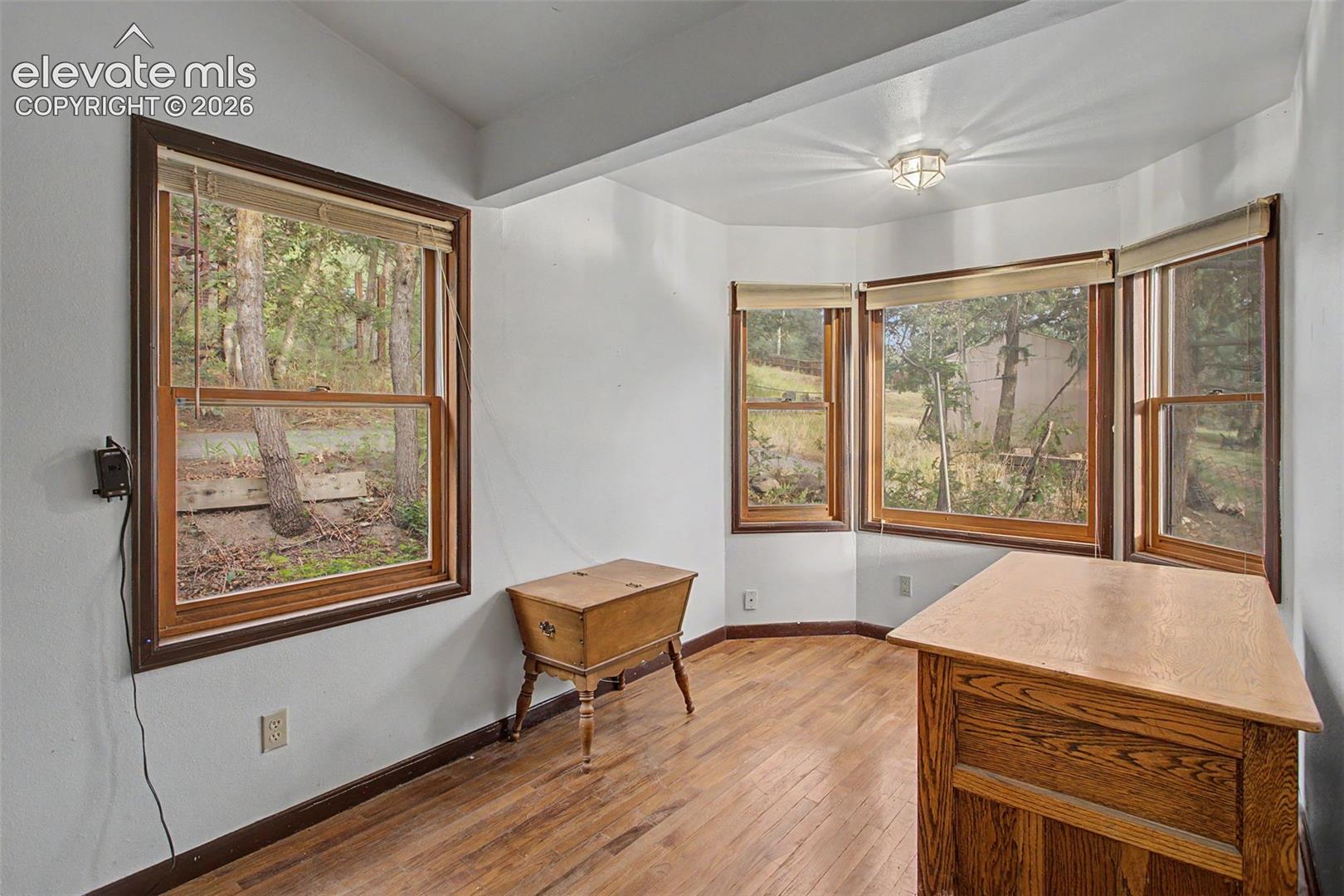 9735 Mountain Road Cascade, CO 80809 - Photo 11 of 18