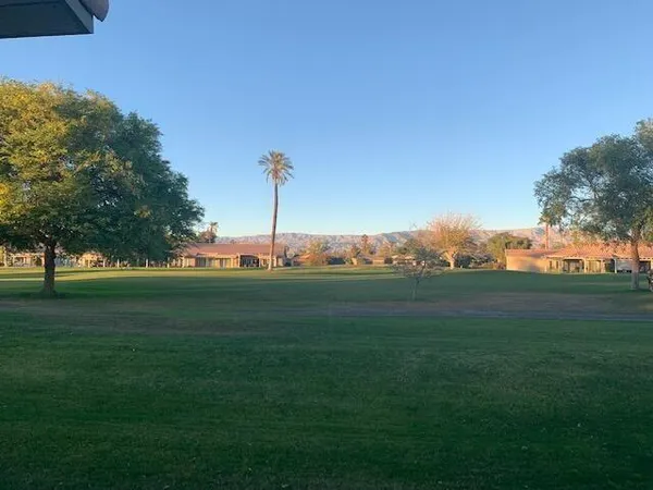 a view of a park and trees with a big yard