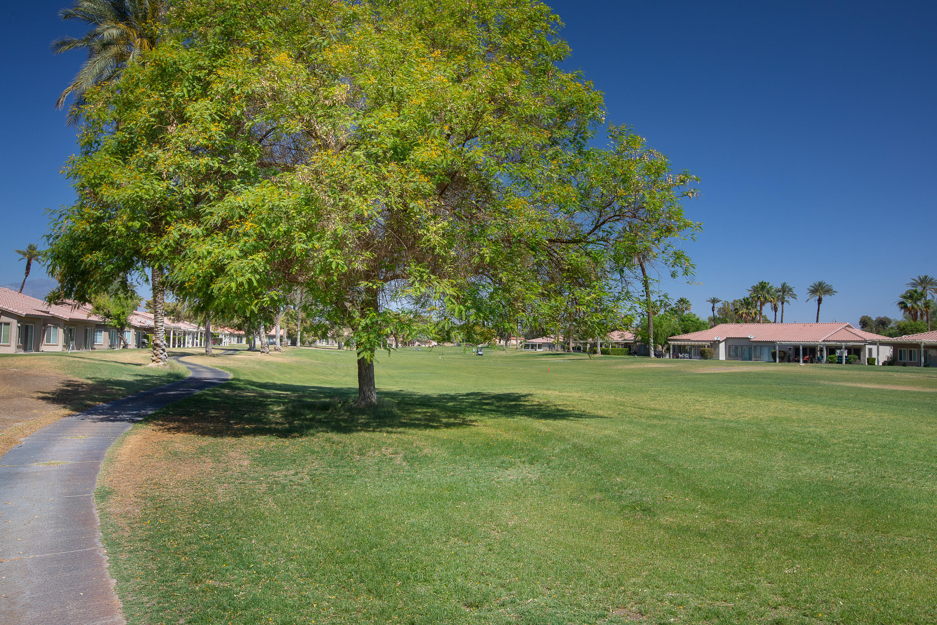 82368 Lancaster Way Indio, CA 92201 - Photo 29 of 35 a view of a park with large trees