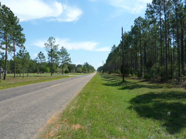 Xx Melton Road Baker, FL 32531 - Photo 1 of 8 a view of a park