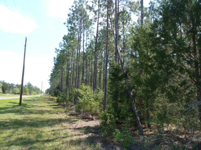 Xx Melton Road Baker, FL 32531 - Photo 8 of 8 a view of a park with large trees