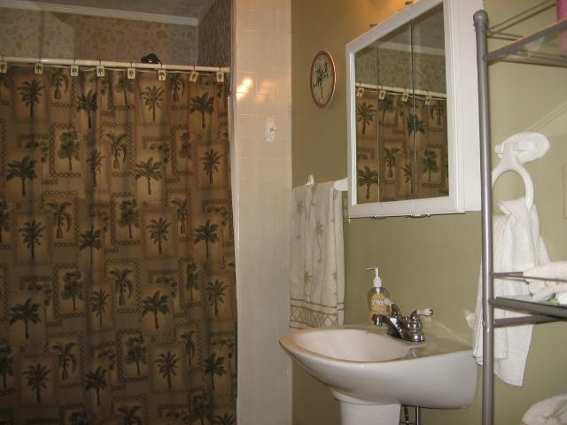 212 Carter Blake Road Tullahoma, TN 37388 - Photo 14 of 20 hall bath