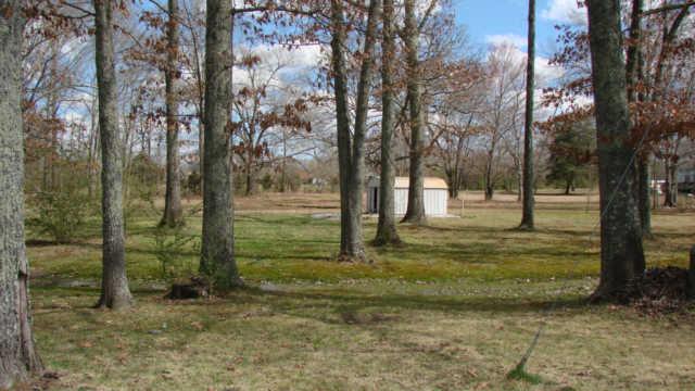 212 Carter Blake Road Tullahoma, TN 37388 - Photo 3 of 20 Large treed back yard with storage shed.
