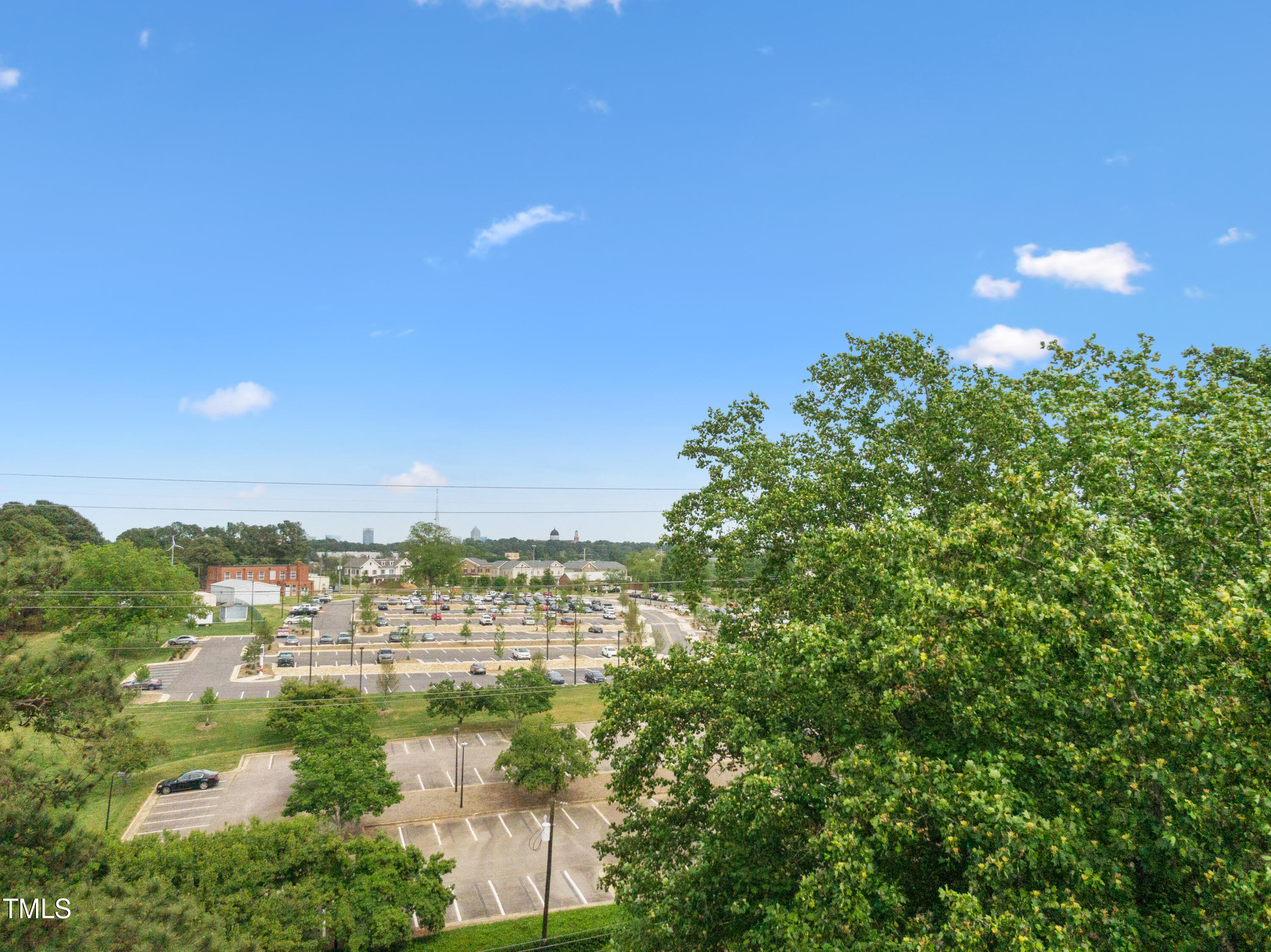 1208 Gorman Street Raleigh, NC 27606 - Photo 15 of 18 1208 Gorman Skyline