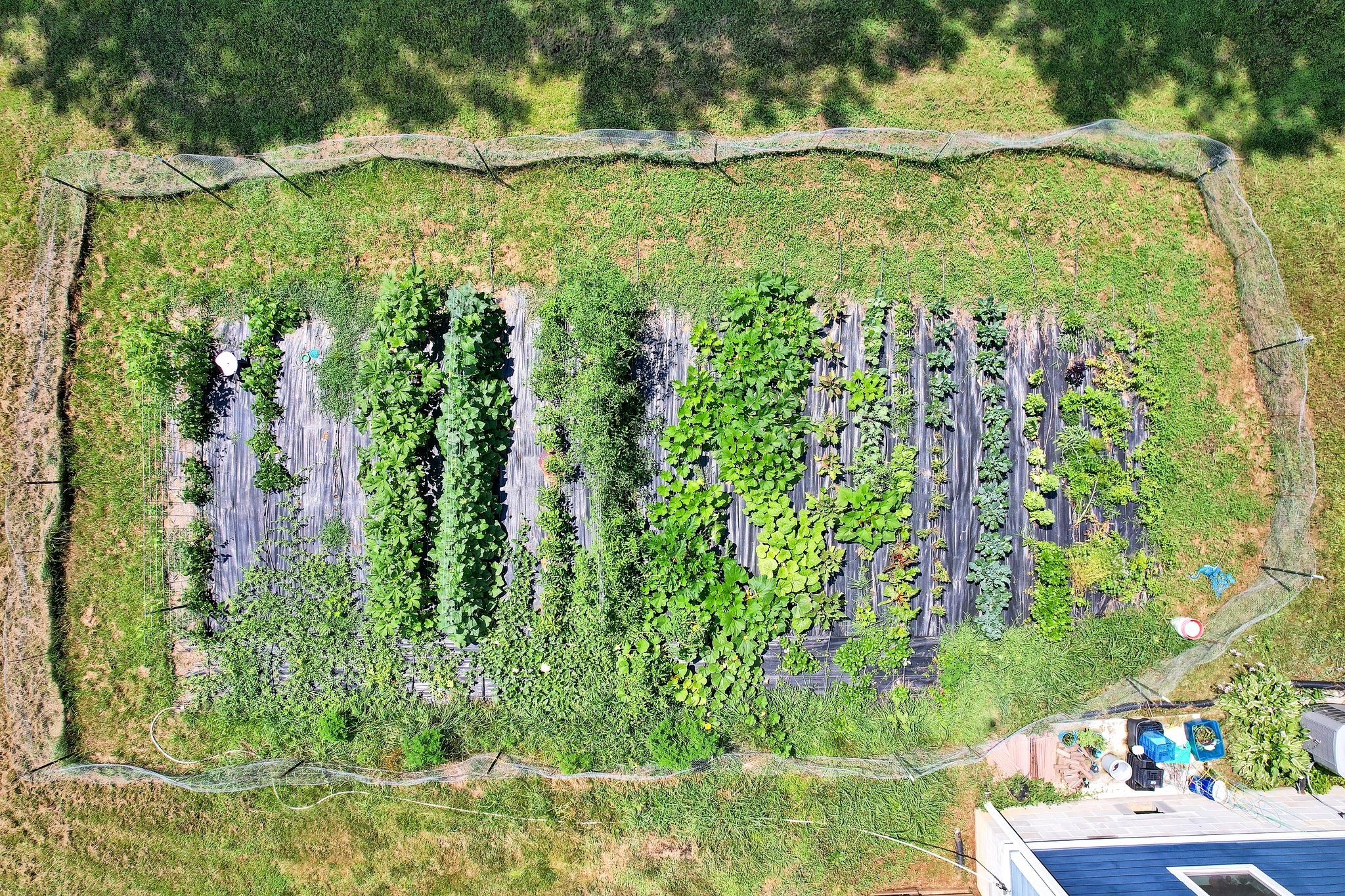 1600 Union Road Southeast Cleveland, TN 37323 - Photo 68 of 68 a view of a garden with a bench