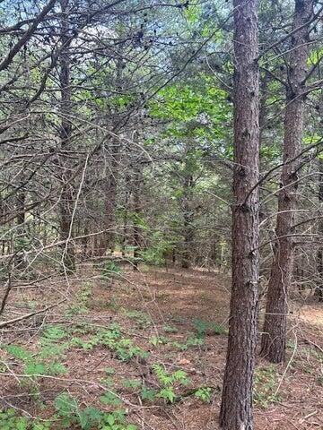 5 Owl Hollow Road Southwest McDonald, TN 37353 - Photo 16 of 32