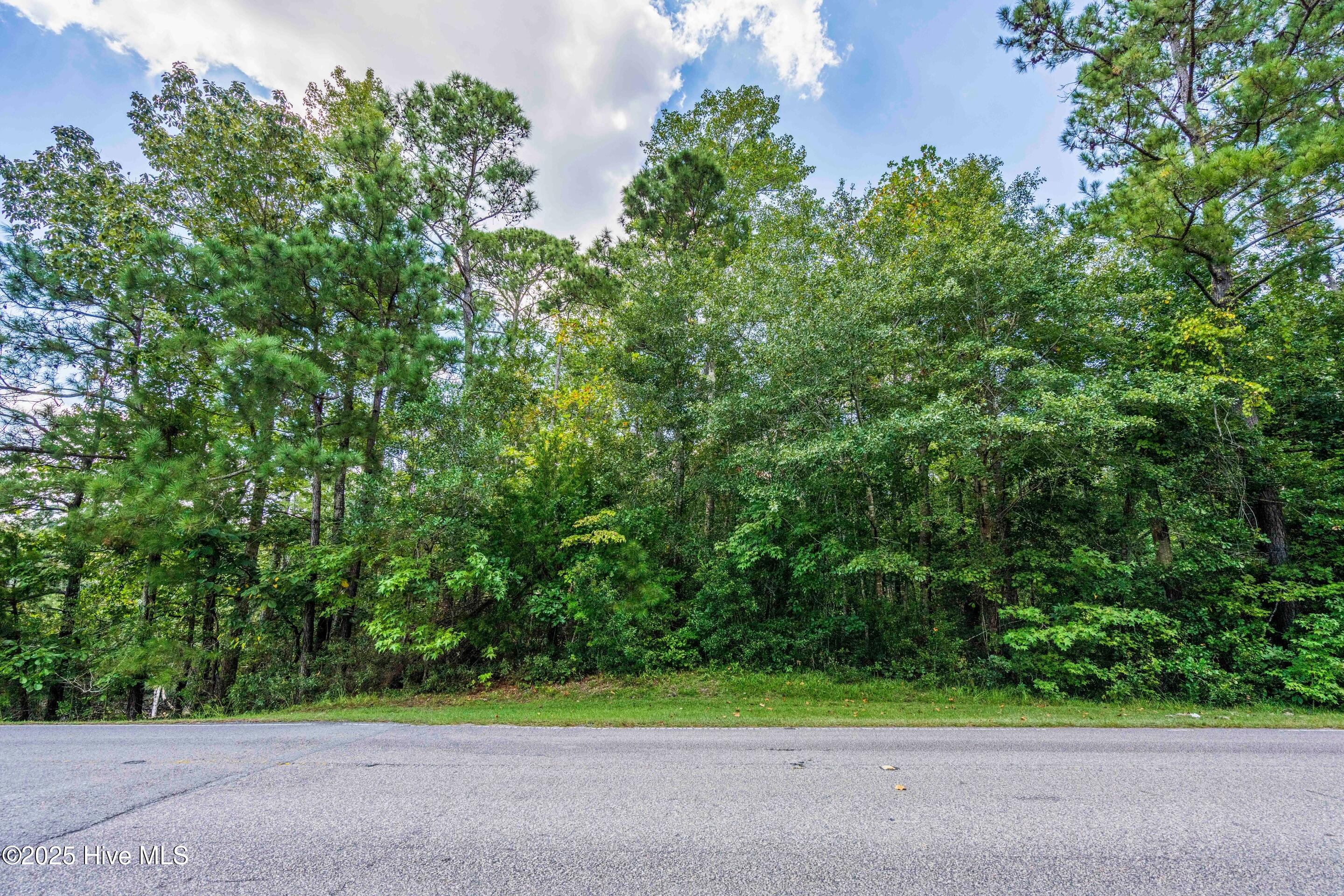 109 C Corcus Ferry Road Hampstead, NC 28443 - Photo 20 of 27 mls-DSC05525