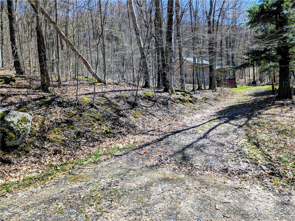 198 Spring Run Road Smethport, PA 16749 - Photo 6 of 27