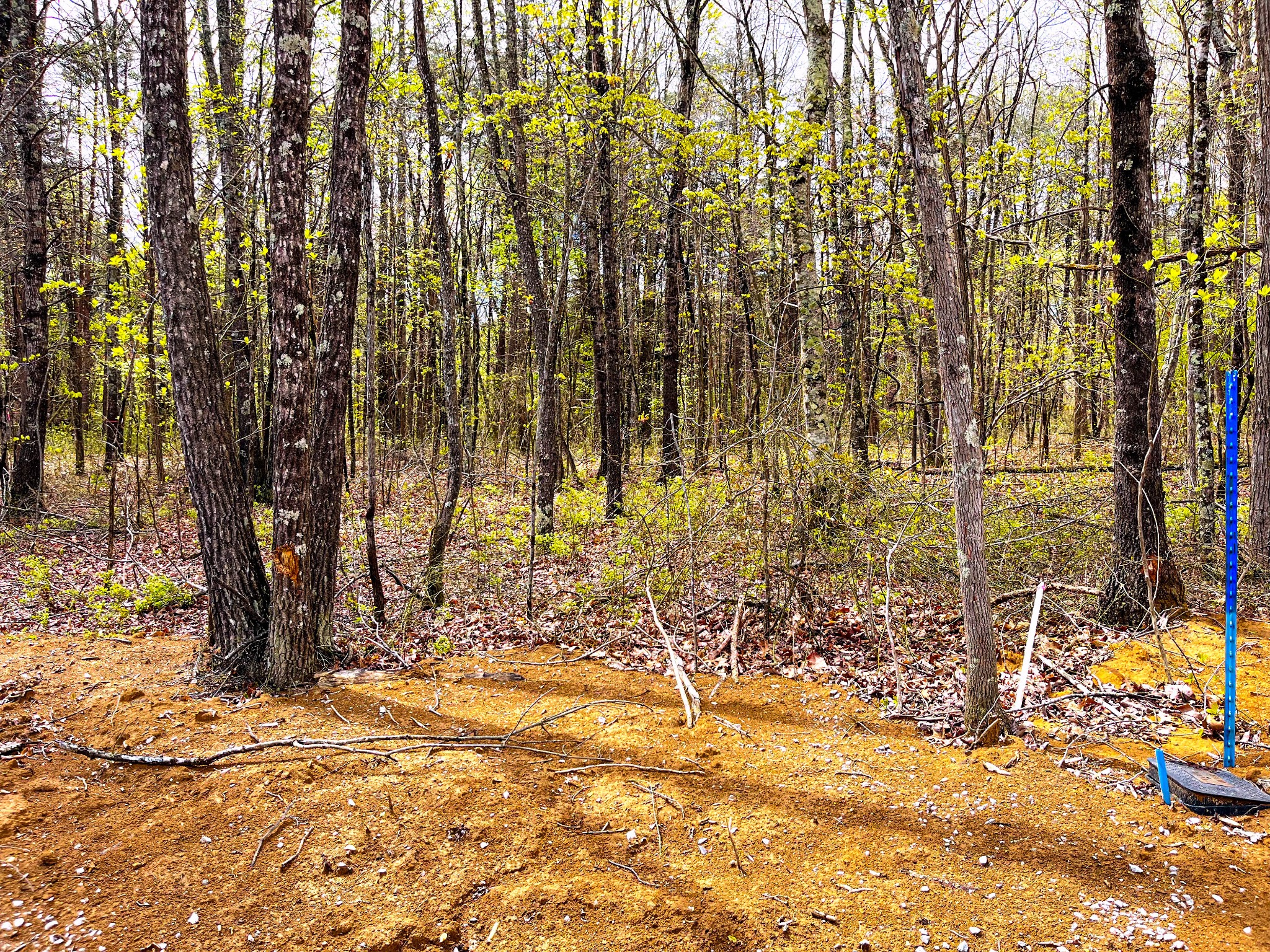 59 Twilight Point Monteagle, TN 37356 - Photo 11 of 16 a view of yard