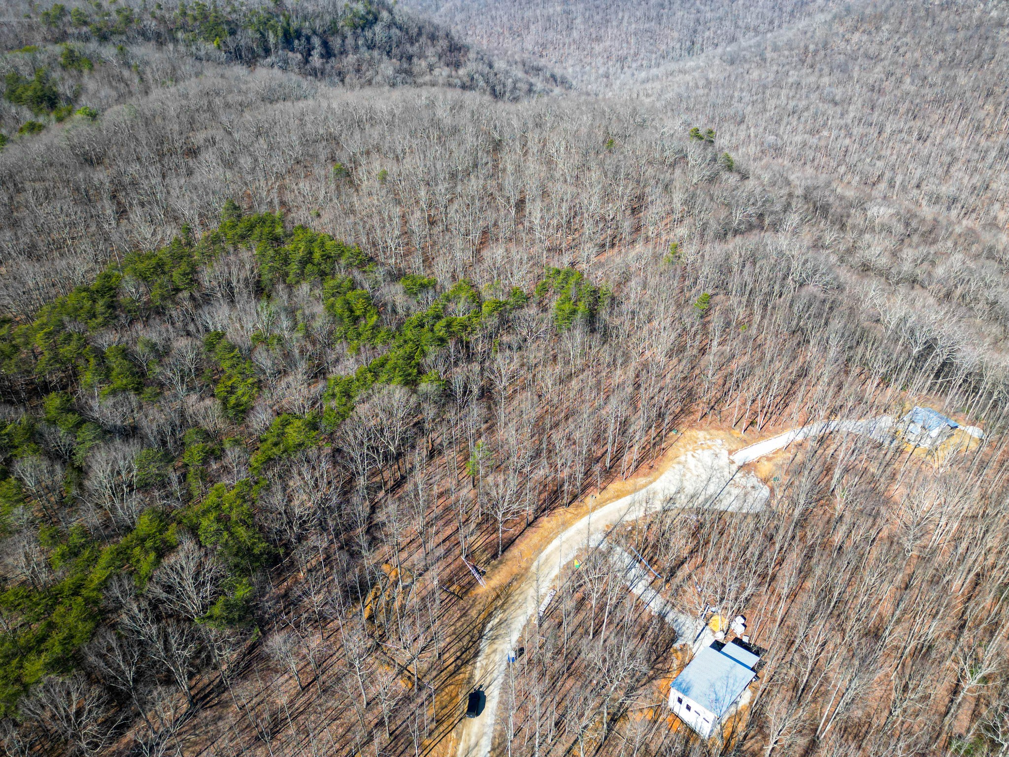 59 Twilight Point Monteagle, TN 37356 - Photo 5 of 16