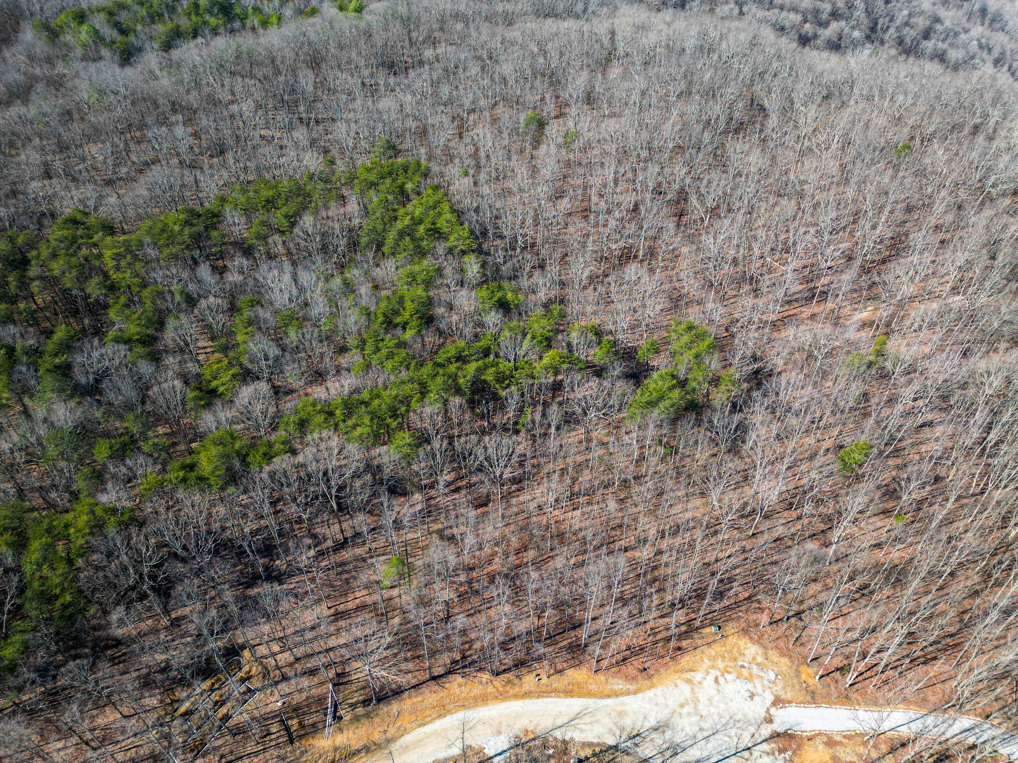 59 Twilight Point Monteagle, TN 37356 - Photo 6 of 16