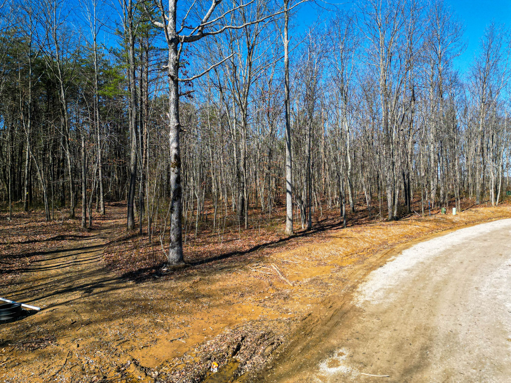 59 Twilight Point Monteagle, TN 37356 - Photo 8 of 16 a view of a backyard with trees