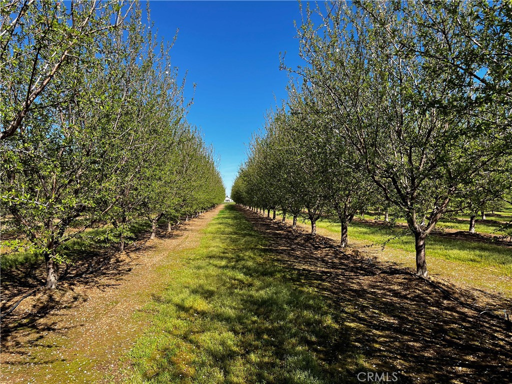 24186 Orangewood Road Corning, CA 96021 - Photo 2 of 43
