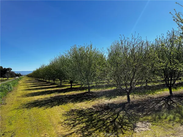 $1,735,000 | 24186 Orangewood Road, Corning, CA 96021
