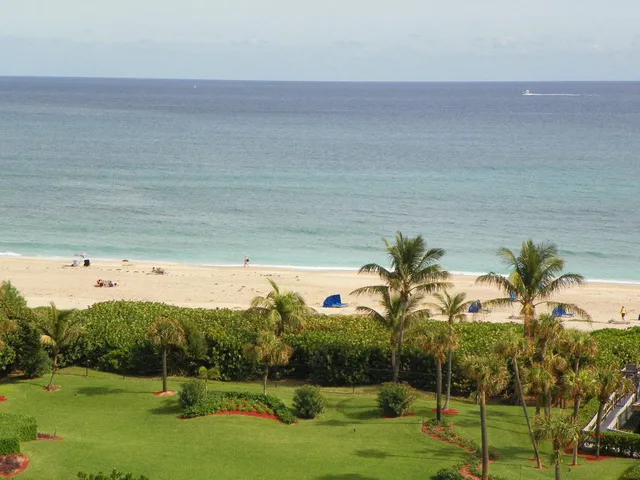 a view of a swimming pool with a yard and plants