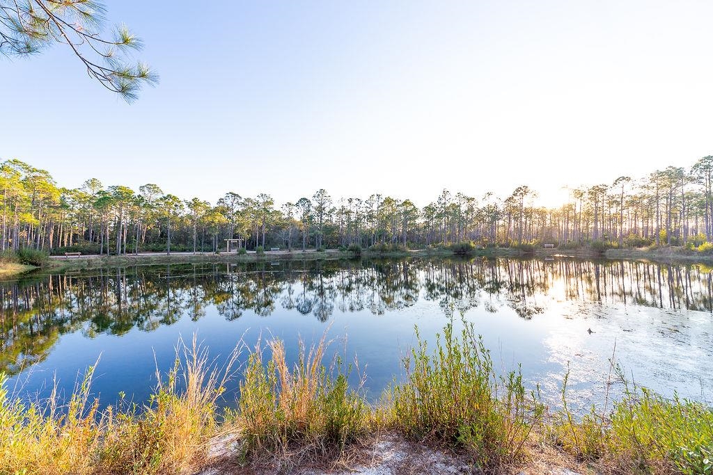 4204 Lauder Lane Orange Beach, AL 36561 - Photo 34 of 47