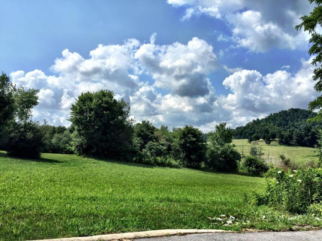 Tbd Harwood Road Gray, TN 37615 - Photo 2 of 5 Photo 2
