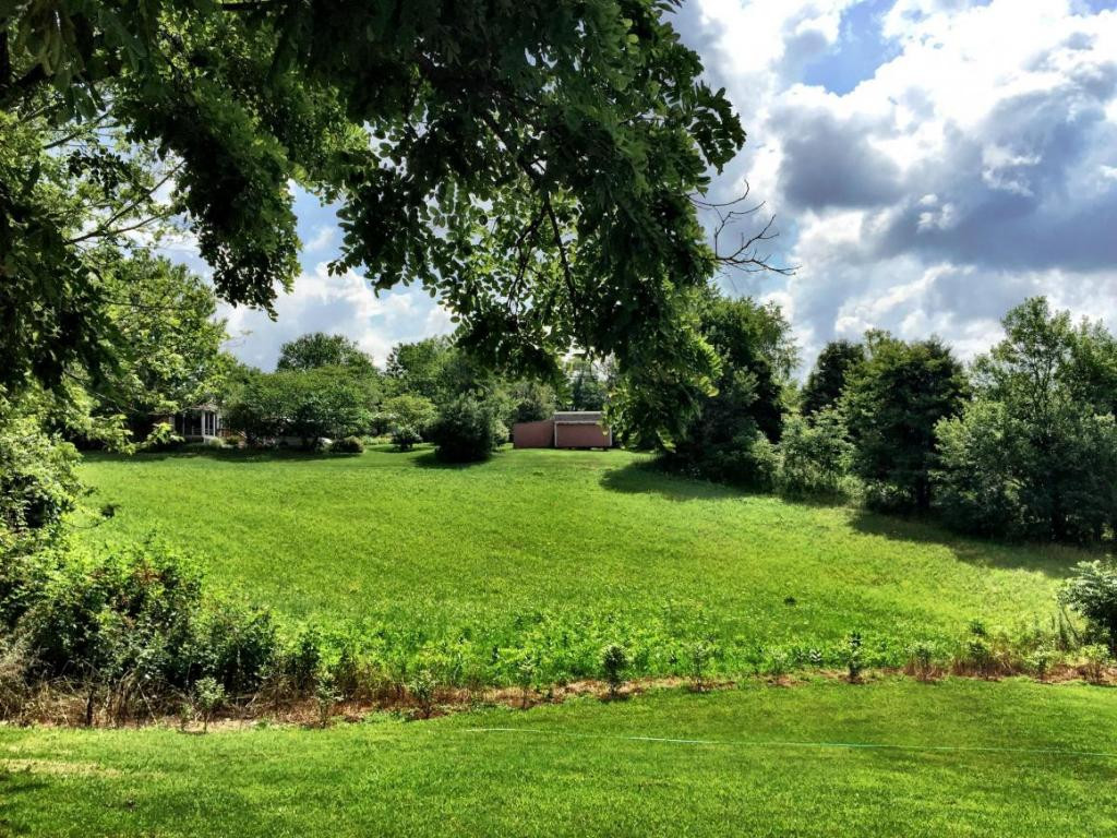 Tbd Harwood Road Gray, TN 37615 - Photo 4 of 5 Photo 4