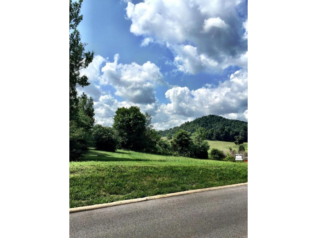 Tbd Harwood Road Gray, TN 37615 - Photo 5 of 5 Photo 5