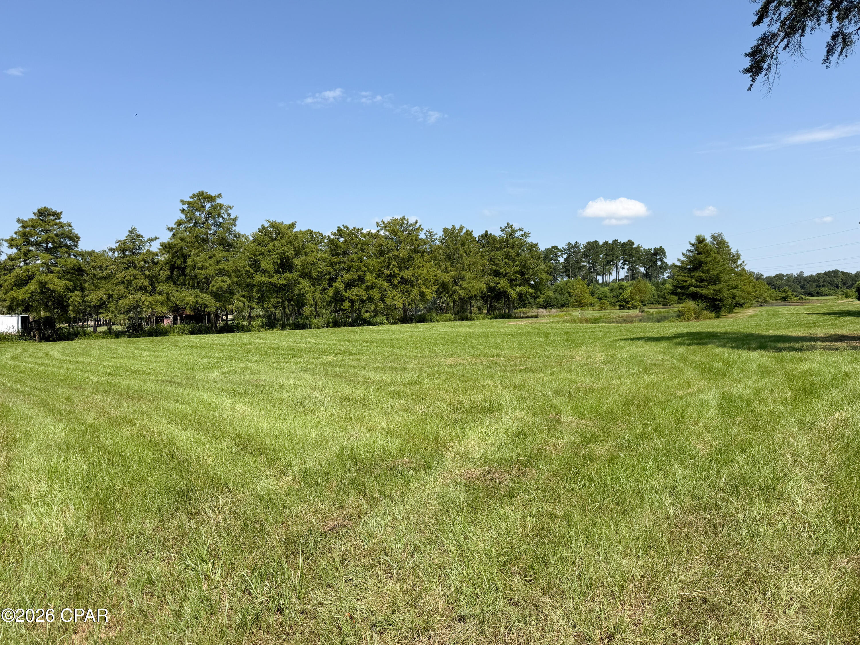 4630 Canary Road Graceville, FL 32440 - Photo 13 of 52 Gallery Image 13