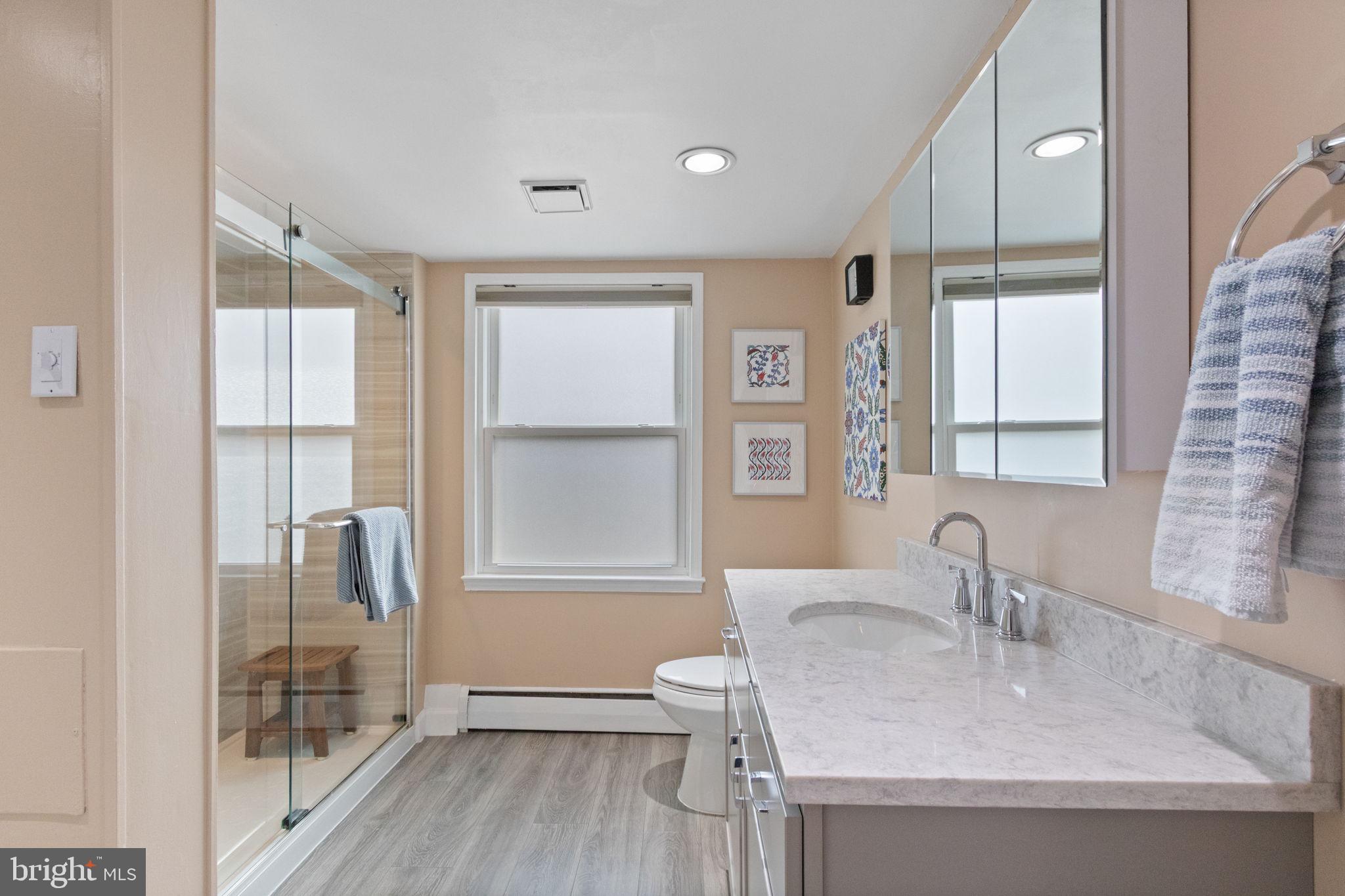 6700 Bulkley Road Lorton, VA 22079 - Photo 32 of 62 a bathroom with a sink and a large mirror