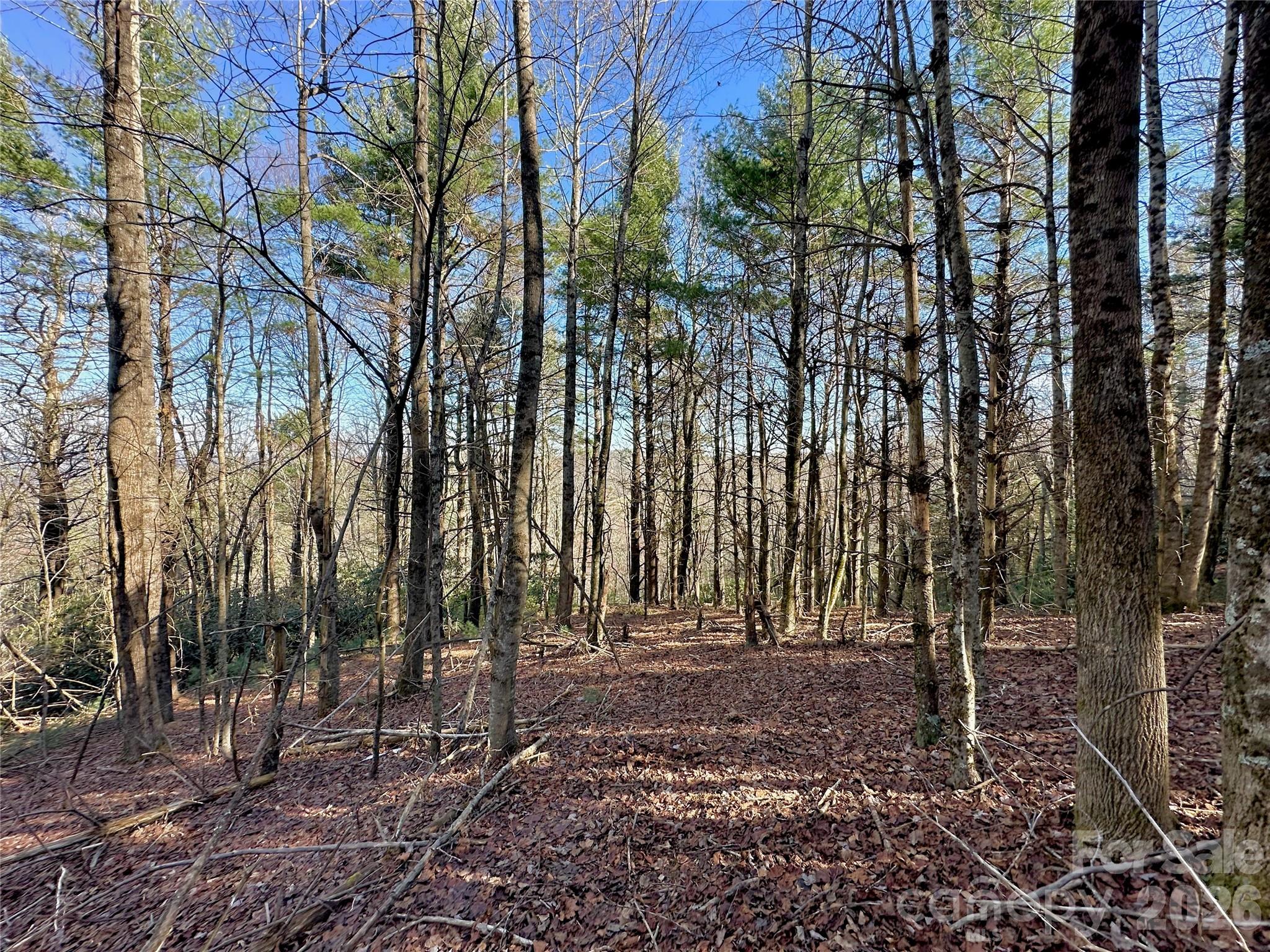 Tbd George Hayes Road Boone, NC 28607 - Photo 15 of 26 Gallery Image 15
