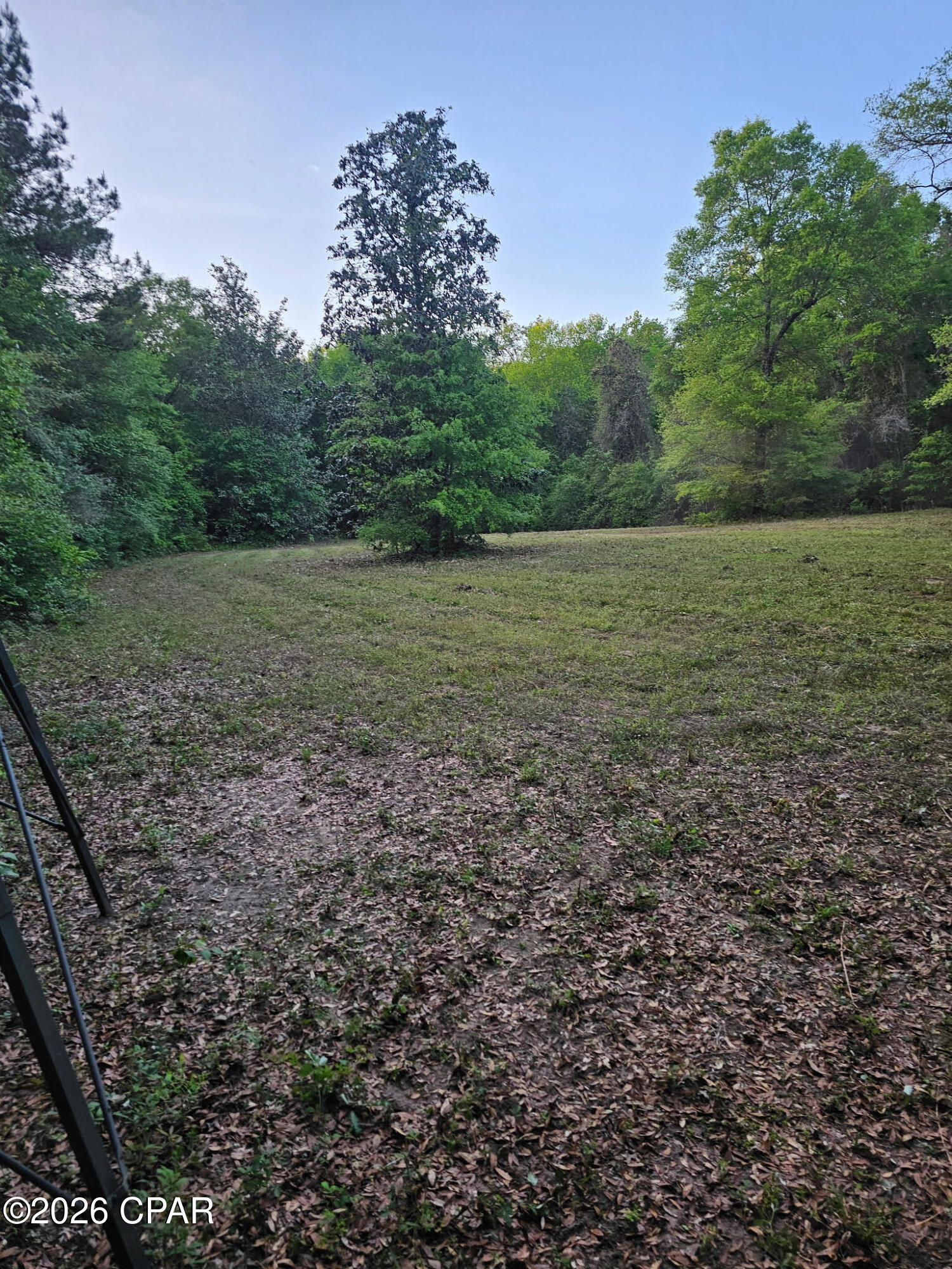 0 Broom Road Bonifay, FL 32425 - Photo 3 of 10