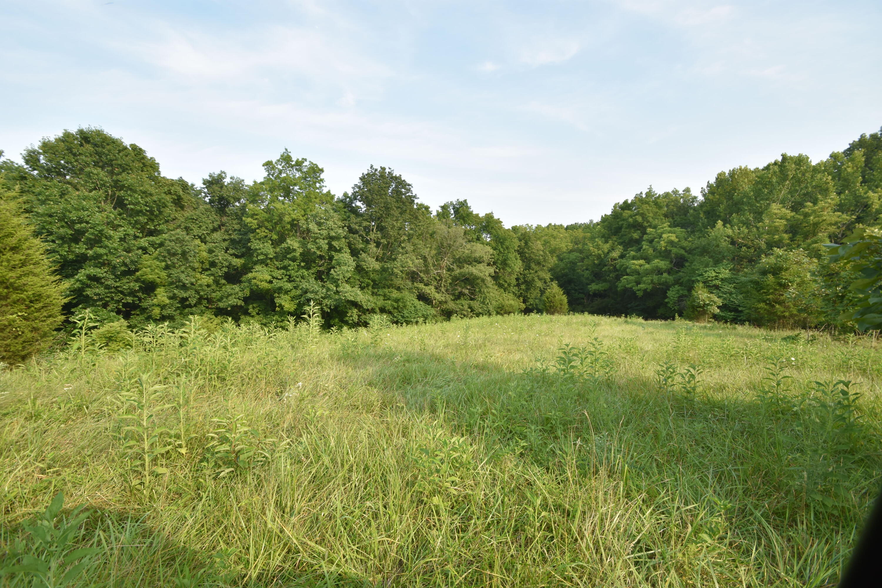 580 Fallis Run Road Harrodsburg, KY 40330 - Photo 37 of 43 DSC_0364
