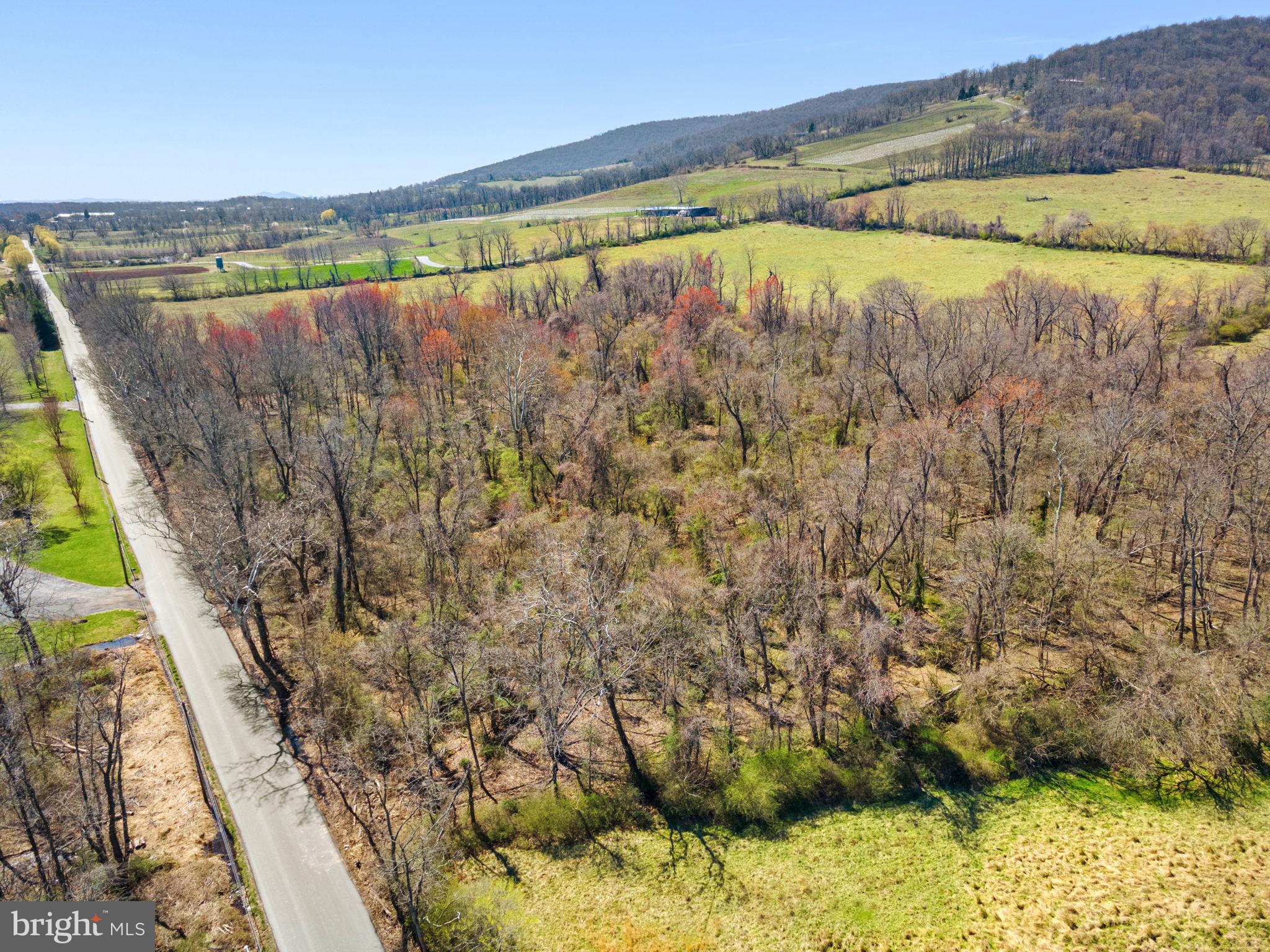 18590-appx Foggy Bottom Road Bluemont, VA 20135 - Photo 16 of 25 a view of a swimming pool with a yard