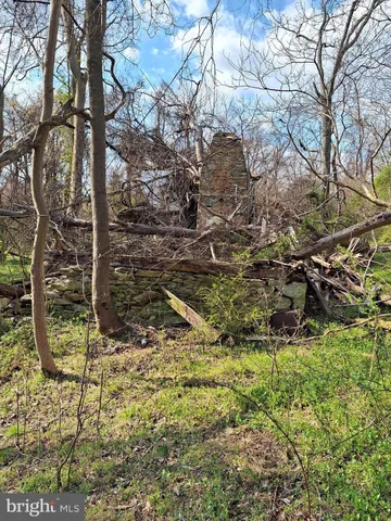 a view of an outdoor space with a tree