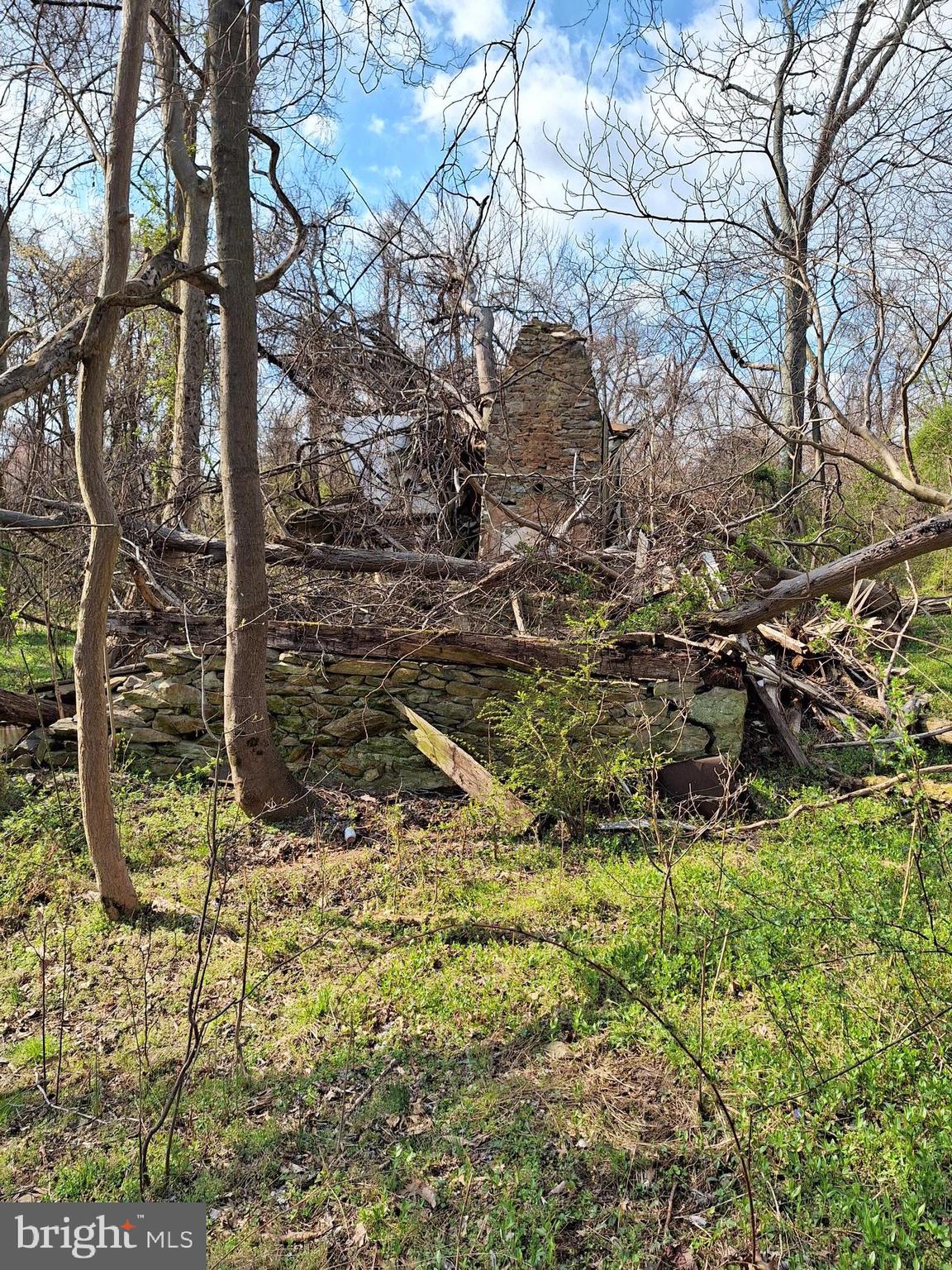 18590-appx Foggy Bottom Road Bluemont, VA 20135 - Photo 19 of 25 a backyard of a house with lots of green space