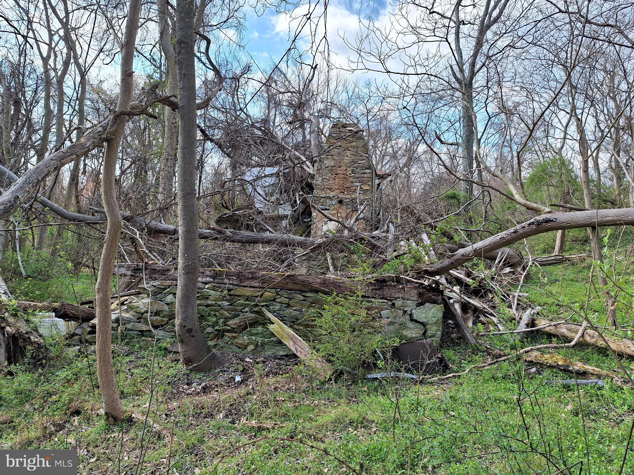 18590-appx Foggy Bottom Road Bluemont, VA 20135 - Photo 20 of 25 a view of an outdoor space with a tree