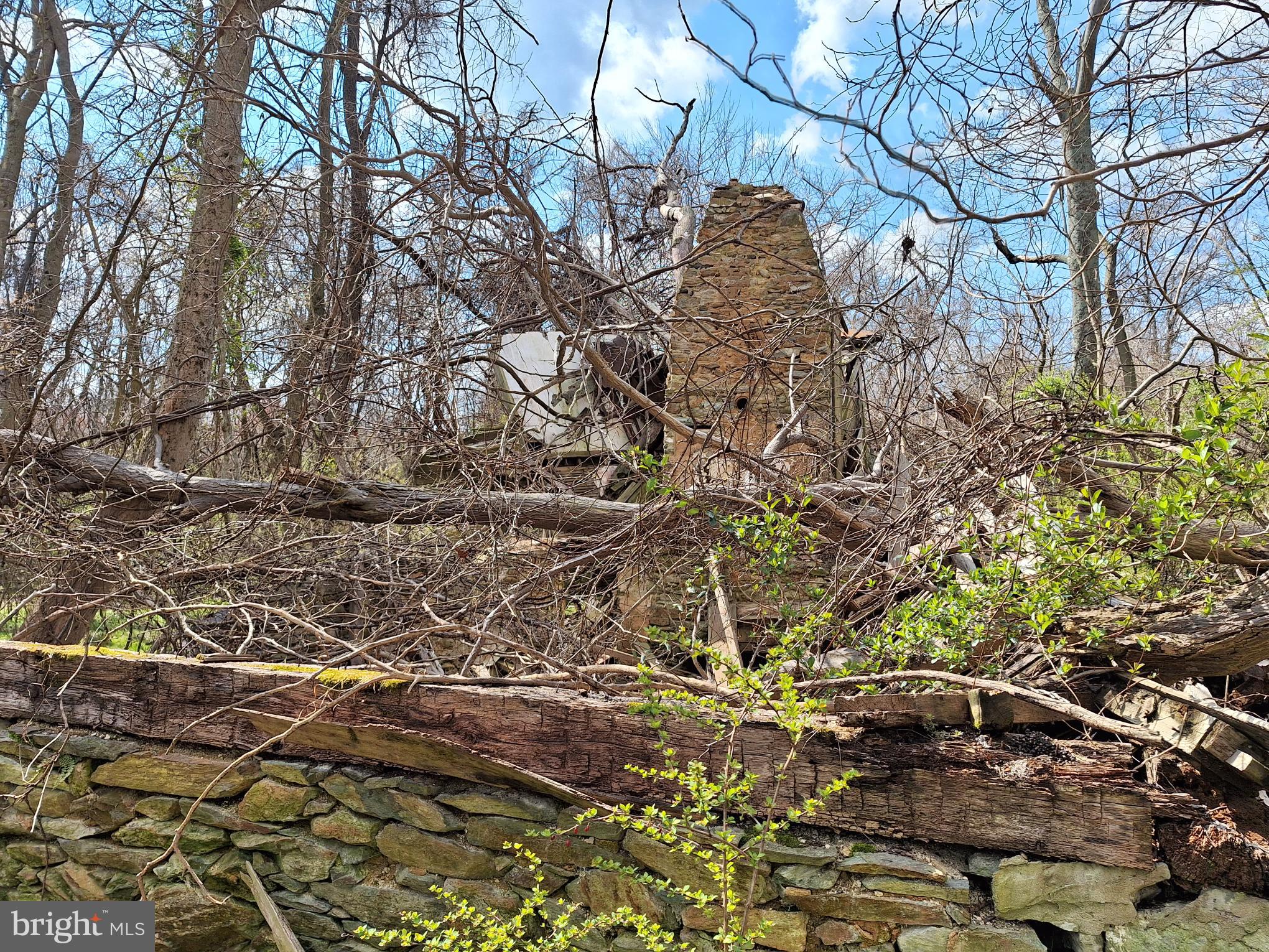 18590-appx Foggy Bottom Road Bluemont, VA 20135 - Photo 22 of 25 a view of a yard with plants and trees