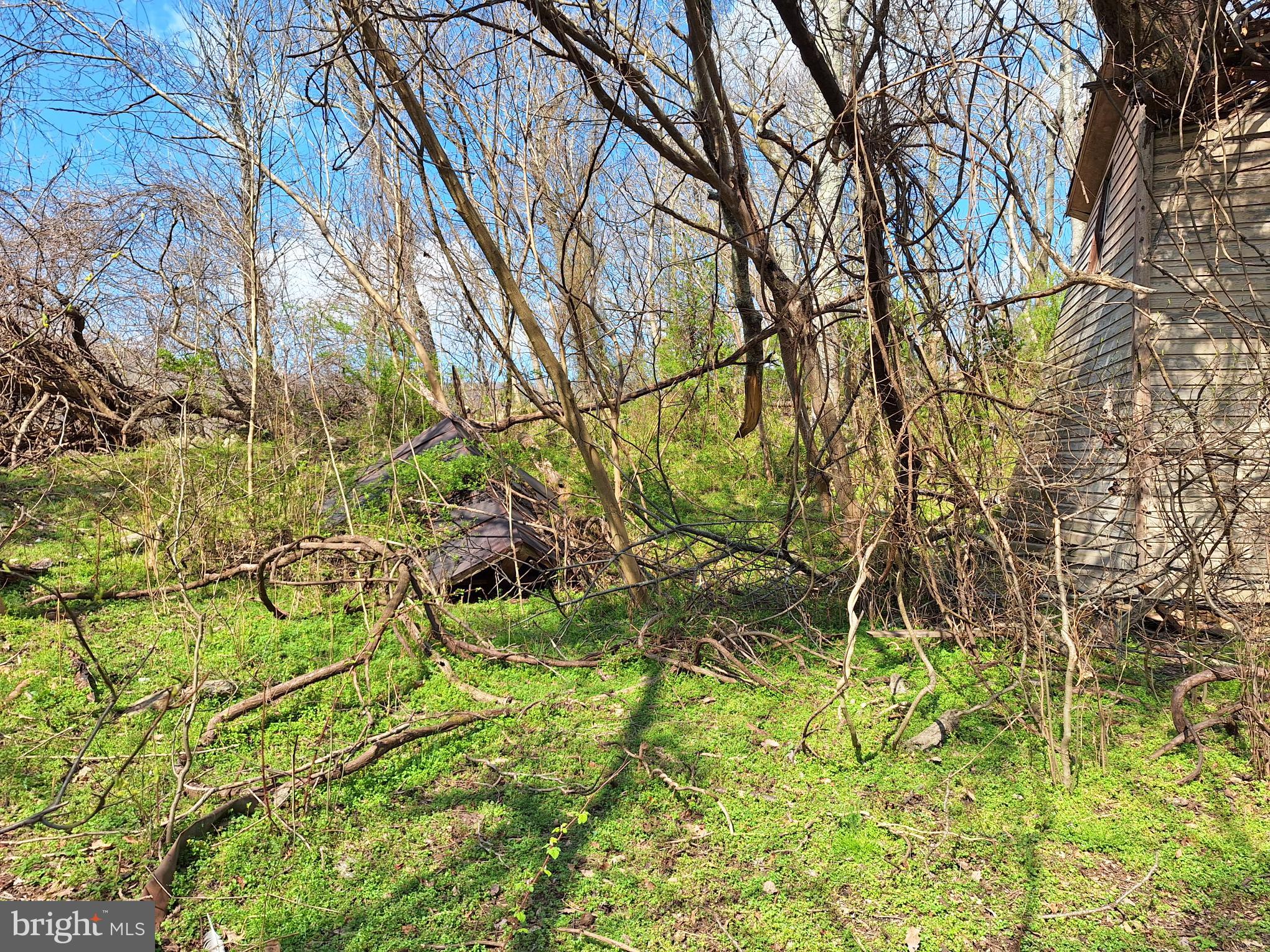 18590-appx Foggy Bottom Road Bluemont, VA 20135 - Photo 24 of 25 a backyard of a house with lots of green space