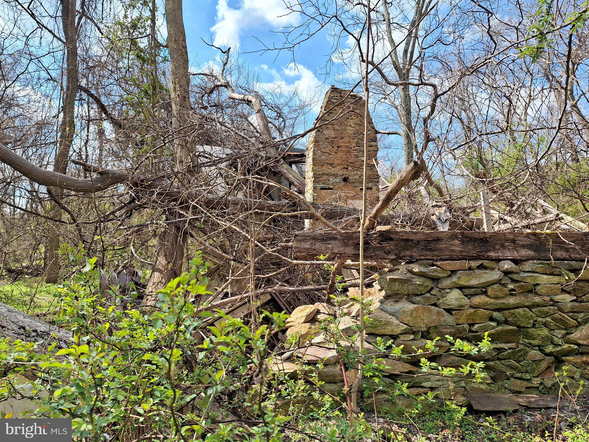 18590-appx Foggy Bottom Road Bluemont, VA 20135 - Photo 6 of 25 a view of a yard with plants and tree