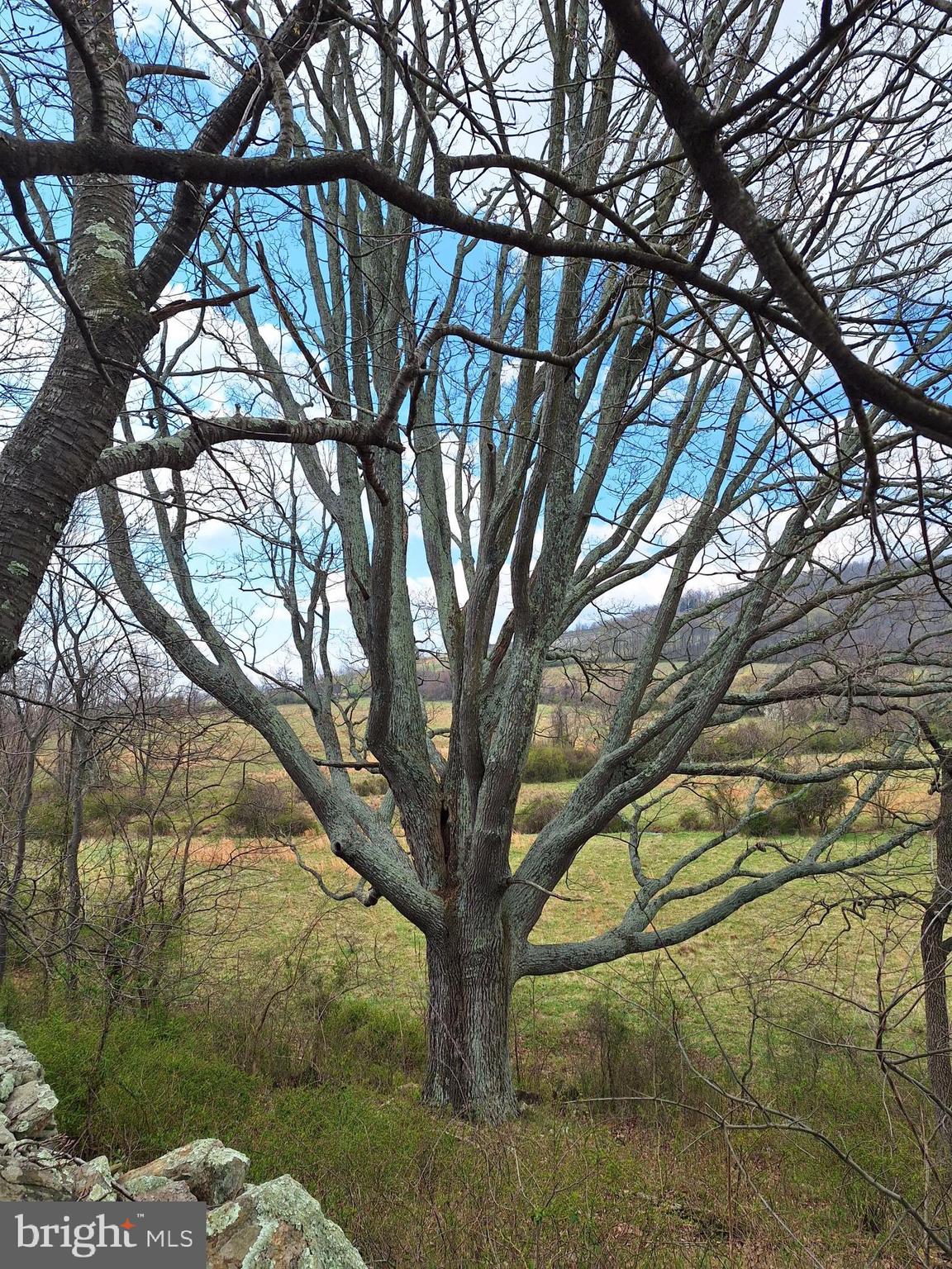 18590-appx Foggy Bottom Road Bluemont, VA 20135 - Photo 7 of 25