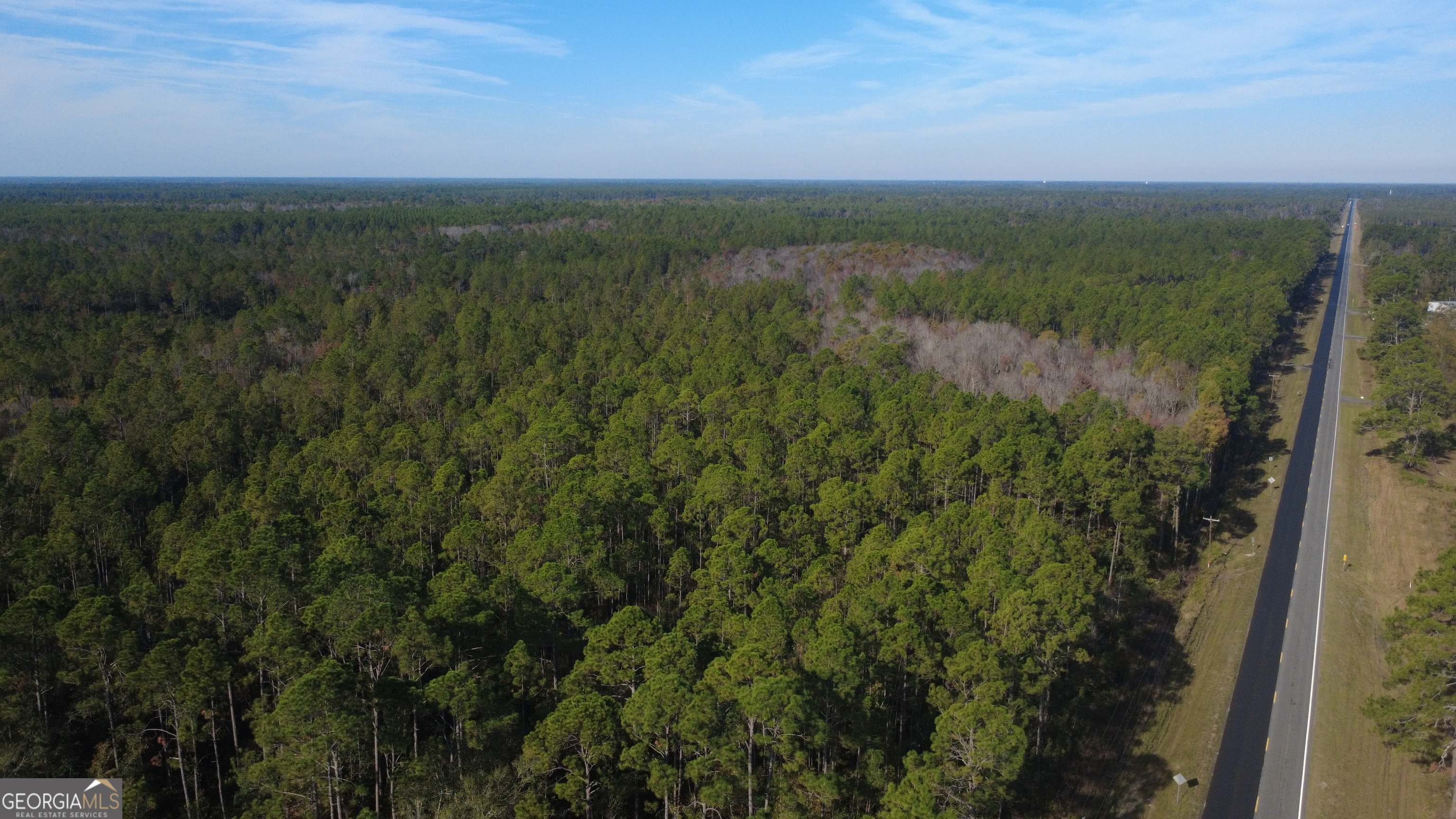0 Fargo Highway Homerville, GA 31634 - Photo 12 of 13